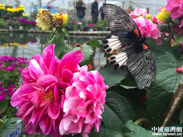 ȫ���W(w��ng)�j(lu��)ý�w���M�Ї���ؚ��һ�塪��������Ϫ�����Ї��_���W(w��ng)ӛ�� ���� �z��