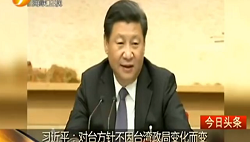習(xí)近平:對(duì)臺(tái)方針不因臺(tái)灣政局變化而變