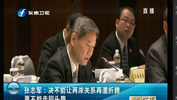 張志軍:決不能讓兩岸關(guān)系再遭折騰 更不能走回頭路