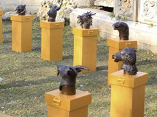 �_���ʌm�Ƴ�12�F��