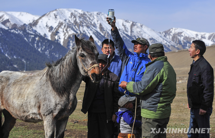 ���x���� �����B�Ę򡱡��½��_չ���L����,������,�����ġ����(d��ng)�o(j��)��(sh��)