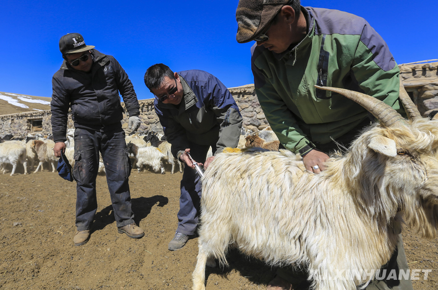 ���x���� �����B�Ę򡱡��½��_չ���L����,������,�����ġ���Ӽo(j��)��