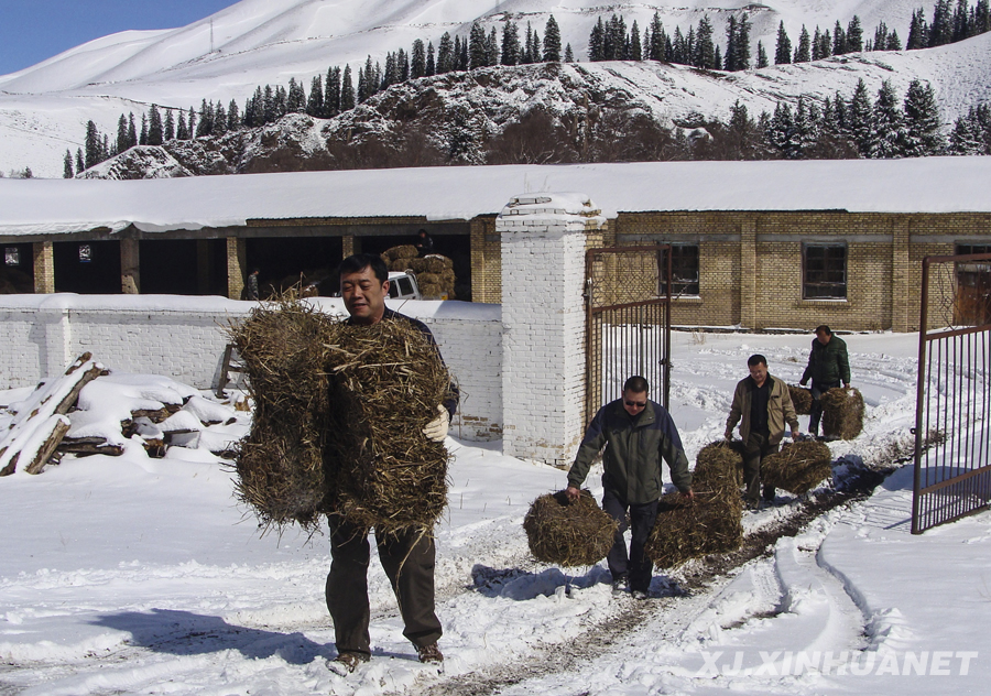 ���x���� �����B�Ę򡱡��½��_չ���L����,������,�����ġ����(d��ng)�o(j��)��(sh��)