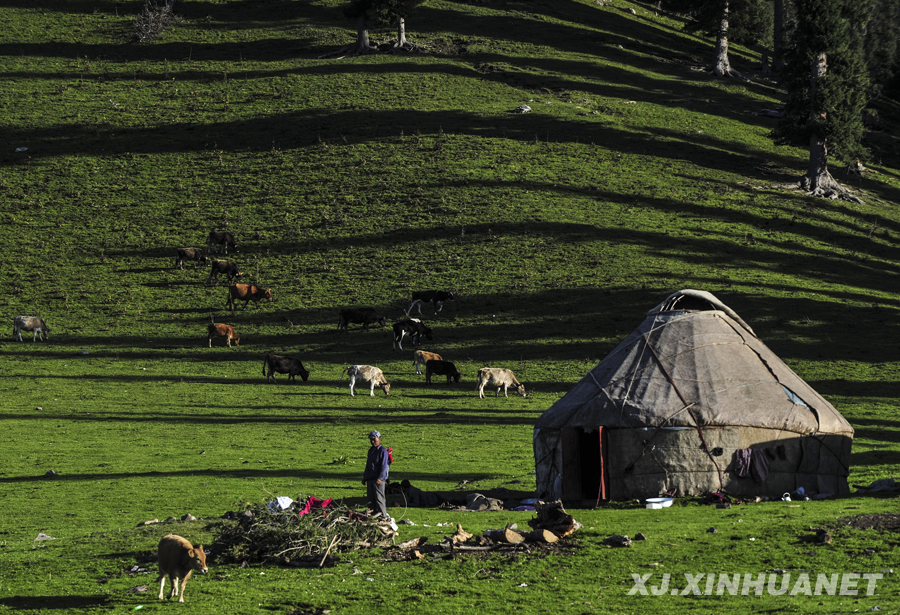 �����½���������ꖹ�a(ch��n)�I(y��)�츣����