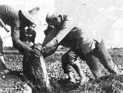 《土地改革法》公布施行 土改運(yùn)動(dòng)全面展開