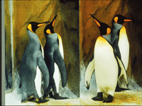 �_(t��i)����(d��ng)��@��(gu��)�����Z