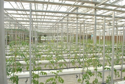 �Wý�����:�_�ń�(chu��ng)�����������~����H������